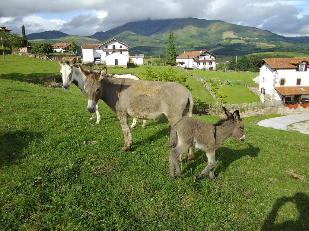 Casa Rural Gananea Суастой-де-Аспилькуэта Номер фото